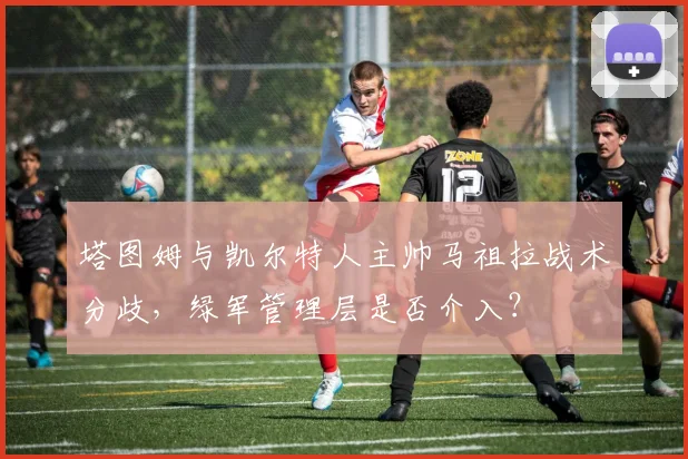 塔图姆与凯尔特人主帅马祖拉战术分歧，绿军管理层是否介入？